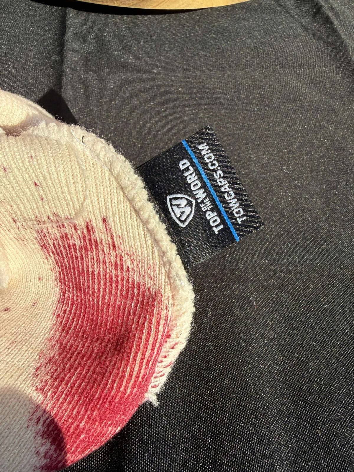 Florida State Seminoles Beanie by Top of the World – Officially Licensed