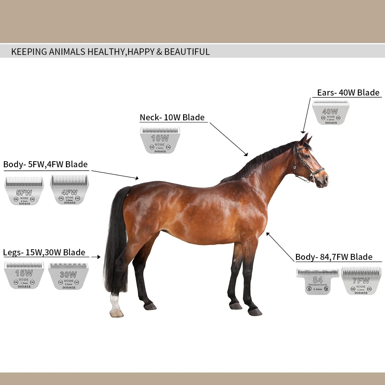 T84 Pet Dog Grooming Detachable Blades,Compatible with Andis,Oster A5,Wahl KM10