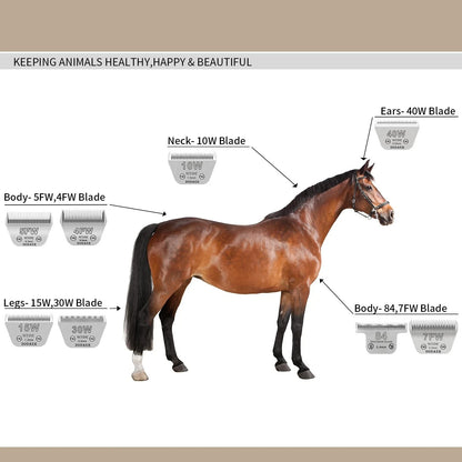 T84 Pet Dog Grooming Detachable Blades,Compatible with Andis,Oster A5,Wahl KM10