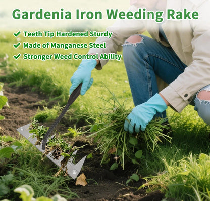Iron Weeding Rake Heavy Duty 8 Teeth Hand Tool for Gardening Weeding