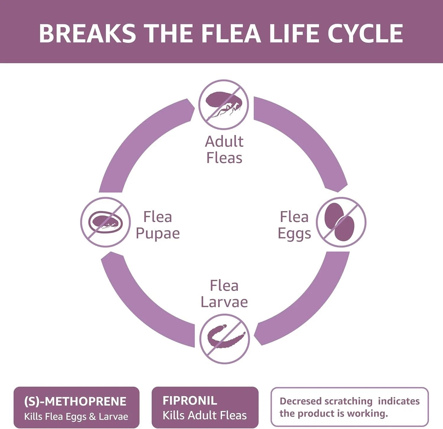 Amazon Basics Flea and Tick Topical Treatment for Large Dogs 45-88lbs - 2 Pack