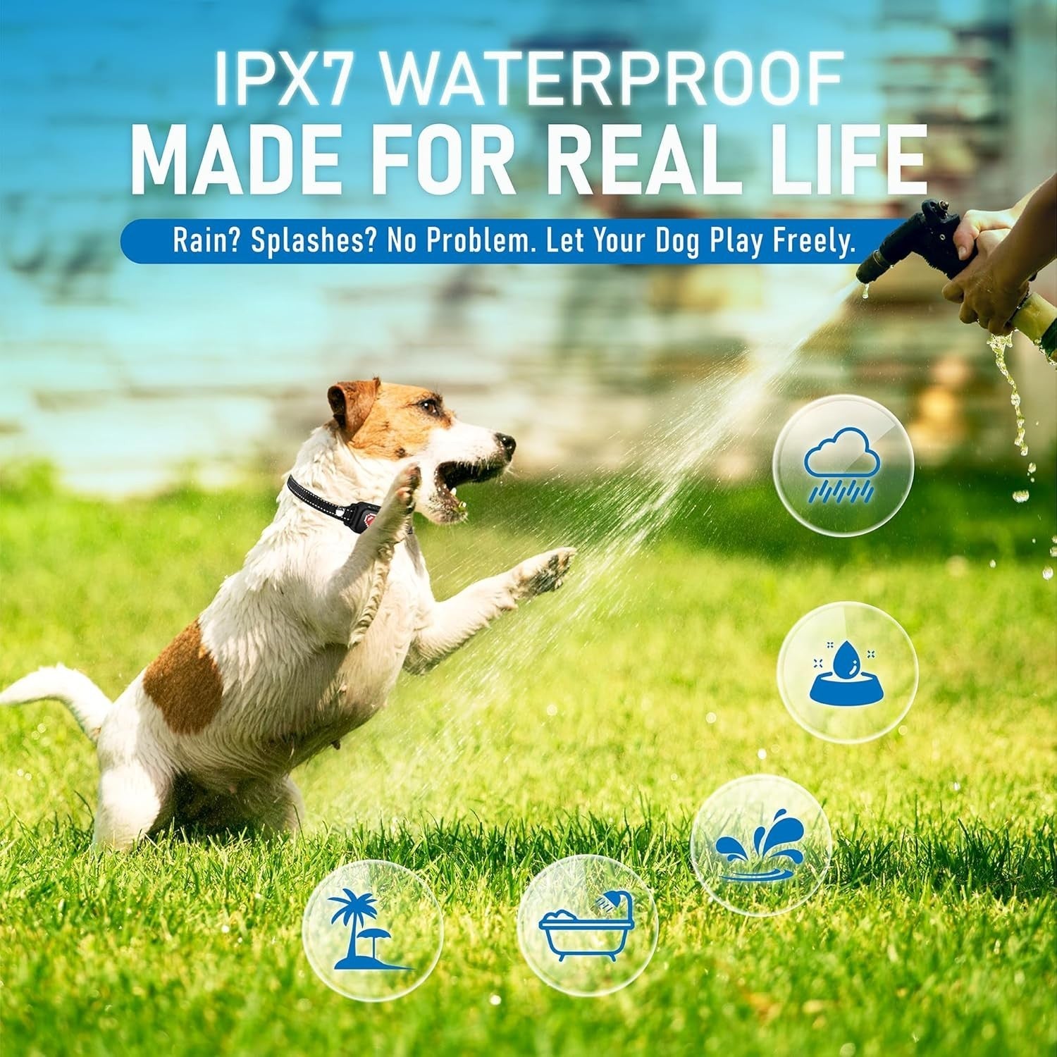 Elecane Mini Anti Barking Collar – No shock, Rechargeable, Waterproof, 4+ lbs