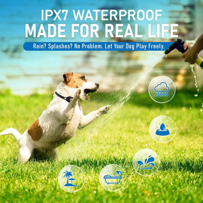 Elecane Mini Anti Barking Collar – No shock, Rechargeable, Waterproof, 4+ lbs