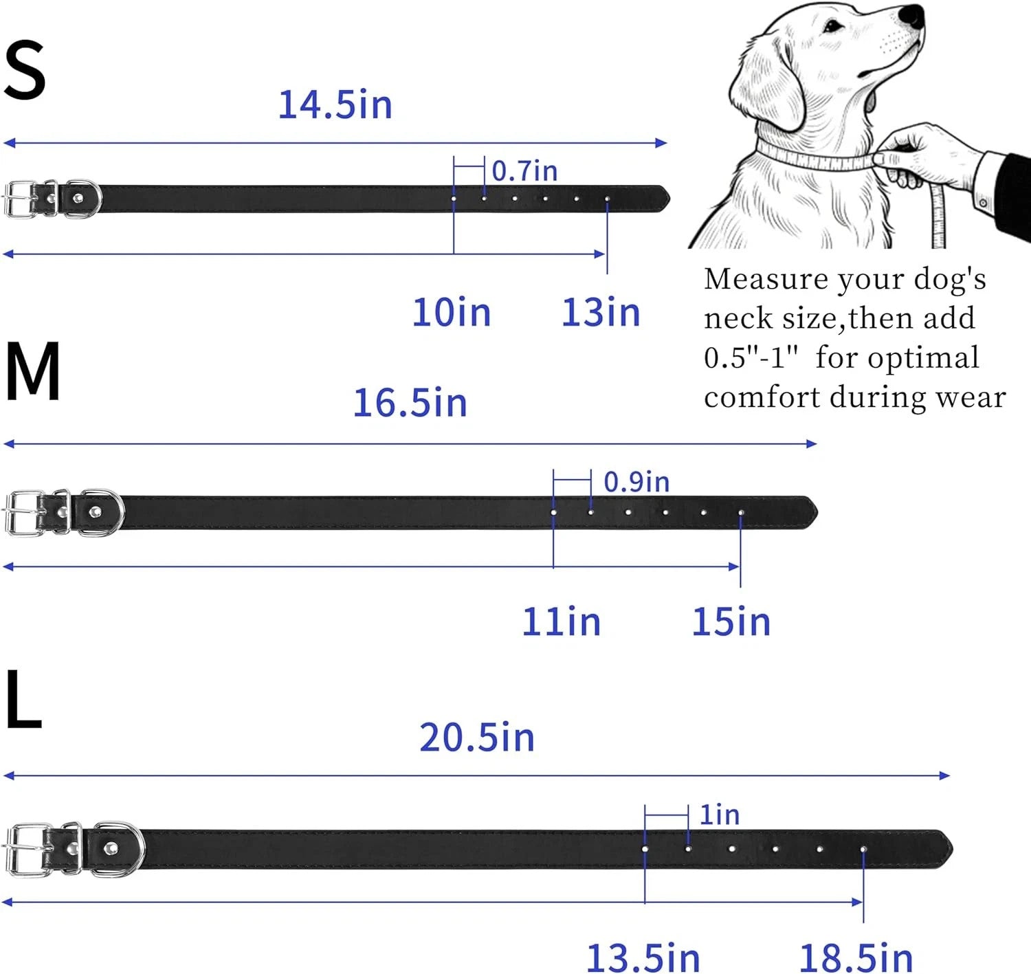 Black Leather Dog Collar for Medium Dog  .75'' Wide x 16" Long