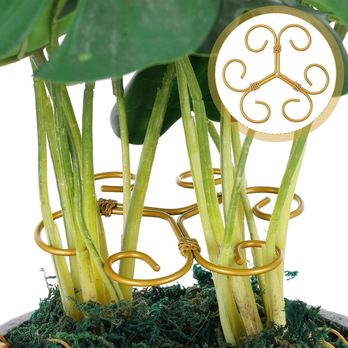 4 Pcs Stem Supports for Indoor Plants Plant Accessories Indoor Plant Stabilizer
