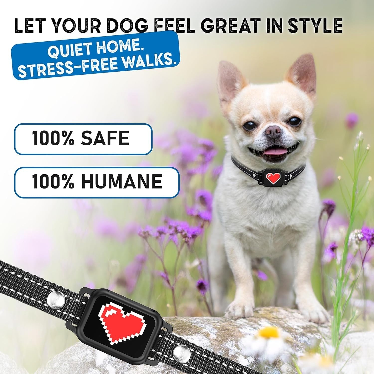 Elecane Mini Anti Barking Collar – No shock, Rechargeable, Waterproof, 4+ lbs