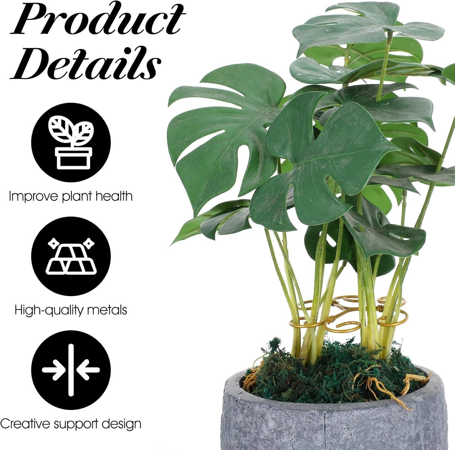 4 Pcs Stem Supports for Indoor Plants Plant Accessories Indoor Plant Stabilizer