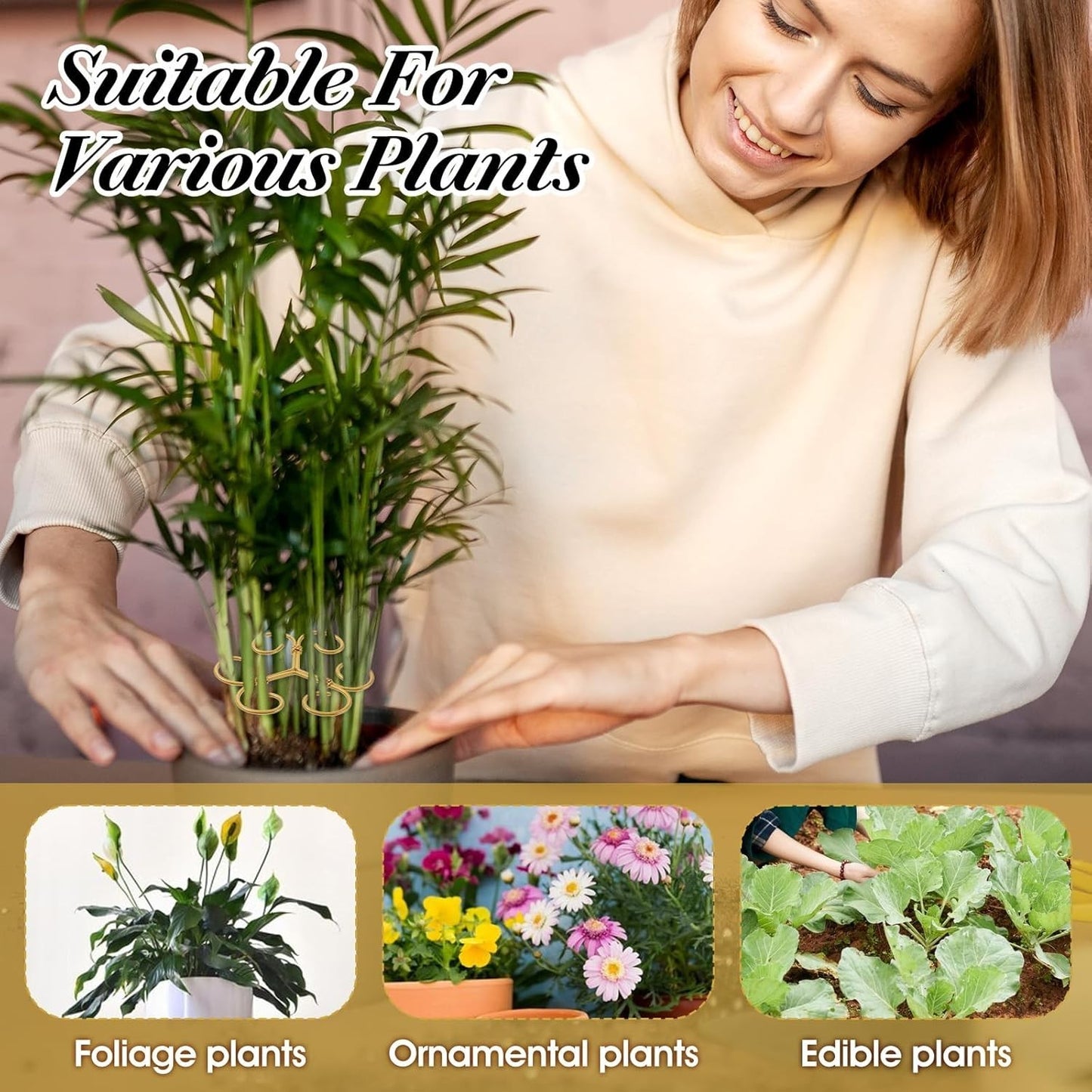 4 Pcs Stem Supports for Indoor Plants Plant Accessories Indoor Plant Stabilizer